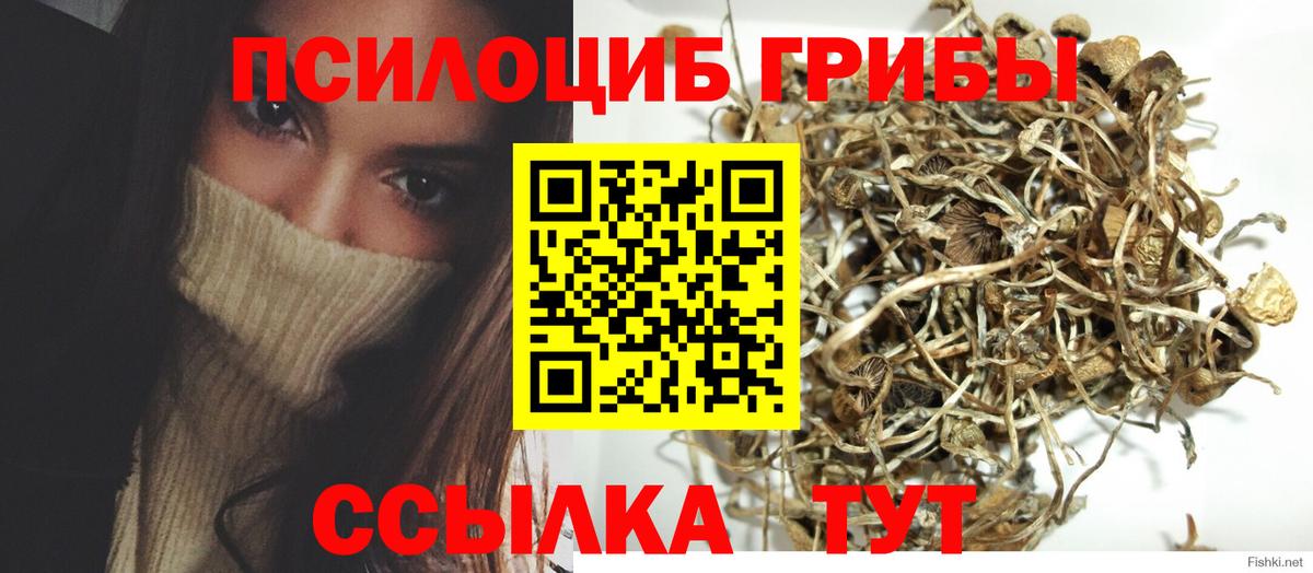 Псилоцибиновые грибы MAGIC MUSHROOMS Татарск